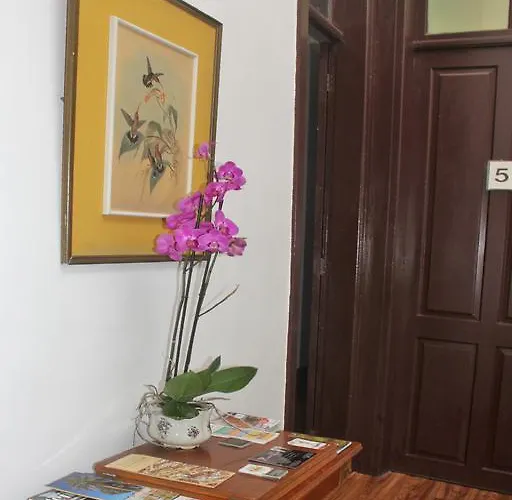 Cejas Casa Colonial Cejas Vendégház Santa Cruz de Tenerife