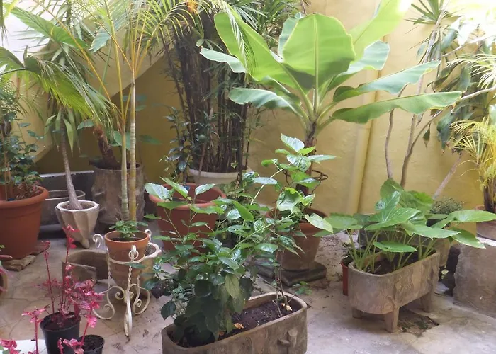 Cejas Casa Colonial Cejas *