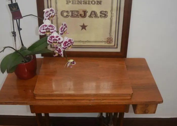 Cejas Casa Colonial Cejas *