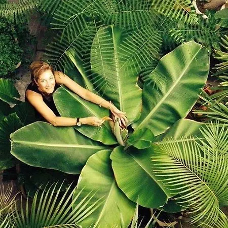 Cejas Casa Colonial Cejas * Санта-Крус-де-Тенерифе