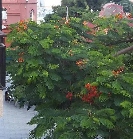 Cejas Casa Colonial Cejas Гостевой дом