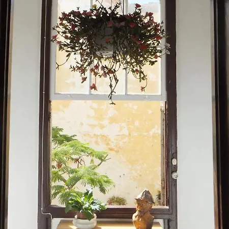 Cejas Casa Colonial Cejas Гостевой дом