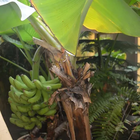 Cejas Casa Colonial Cejas