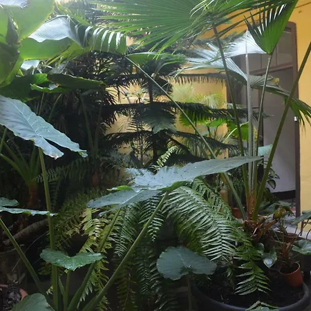 Cejas Casa Colonial Cejas * Санта-Крус-де-Тенерифе