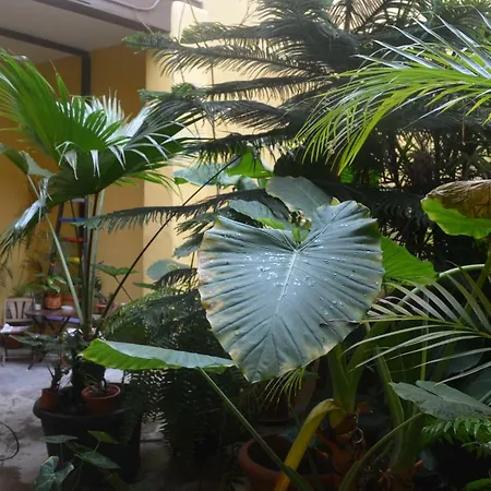 Cejas Casa Colonial Cejas Санта-Крус-де-Тенерифе