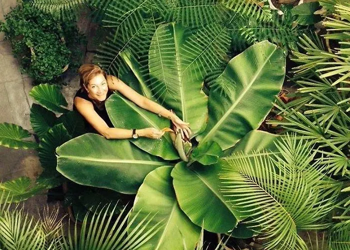 Cejas Casa Colonial Cejas * Santa Cruz de Tenerife