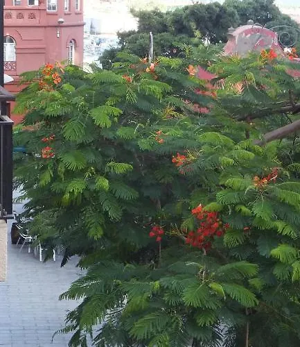 Cejas Casa Colonial Cejas Pensjonat