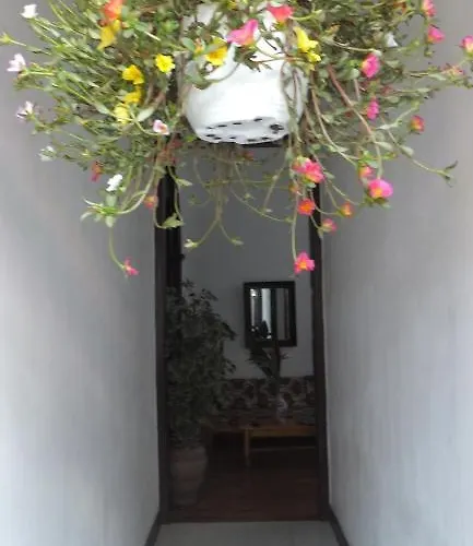 Cejas Casa Colonial Cejas