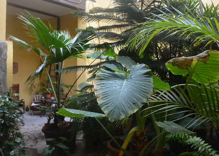 Cejas Casa Colonial Cejas Santa Cruz de Tenerife