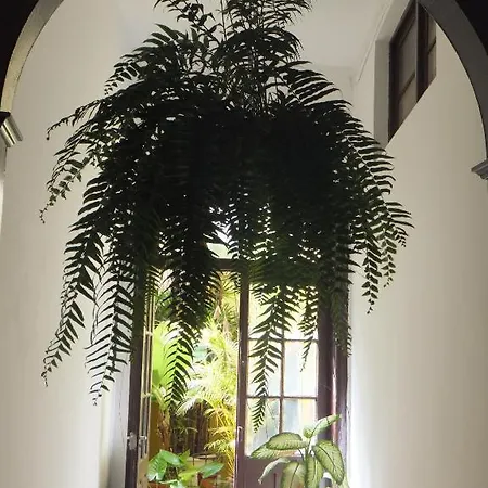 Maison d'hôtes Casa Colonial Cejas Santa-Cruz de Ténérife