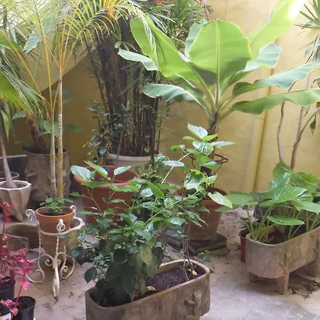 Casa Colonial Cejas *